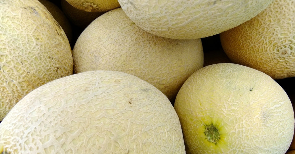 Turlock Fruit Co. Melon Stand a secret worth sharing Local Turlock