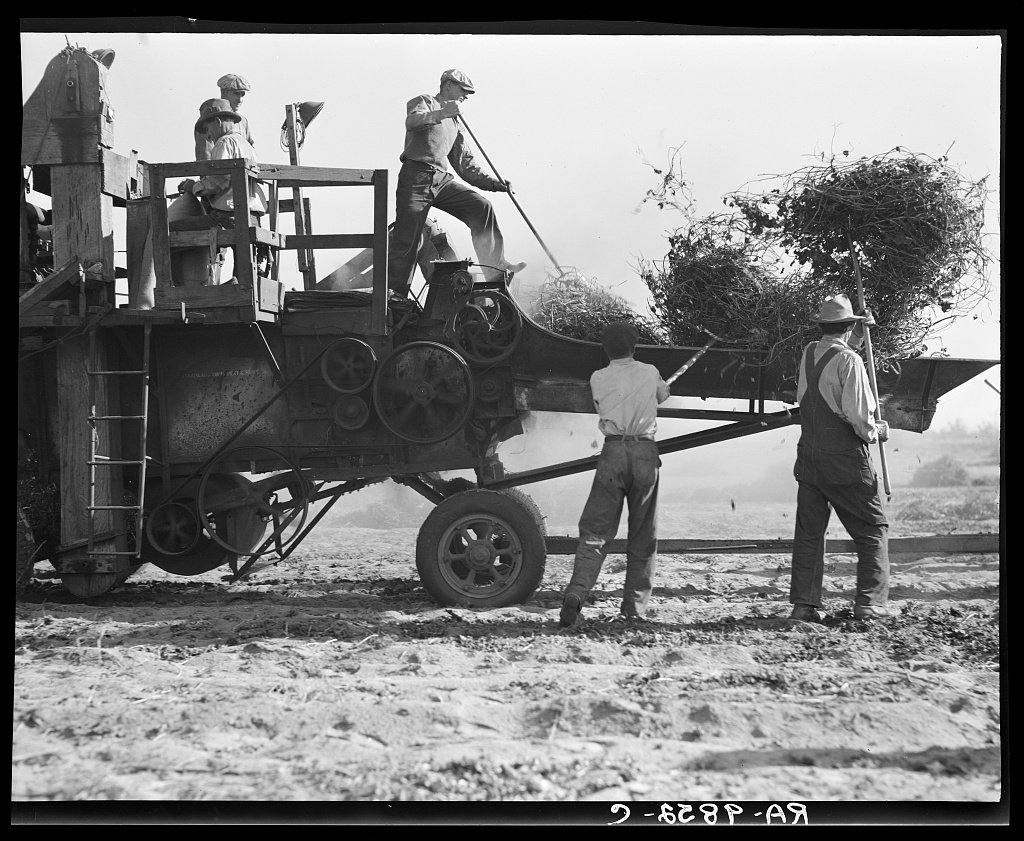 Farm workers operating a bean thresher between Turlock and Merced, photographed by Dorothea Lange in November 1936.