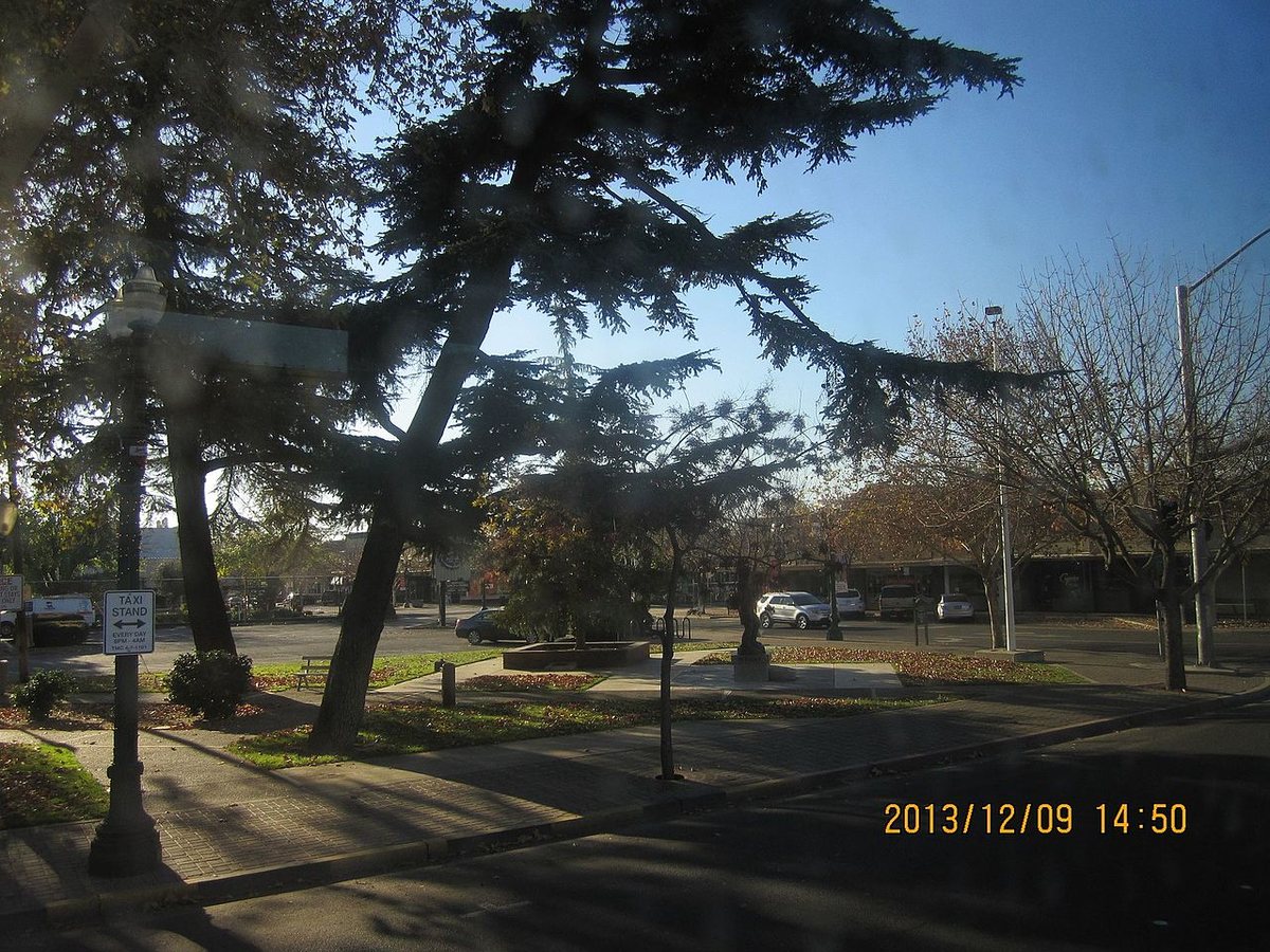 Trees and paths at Central Park in downtown Turlock.