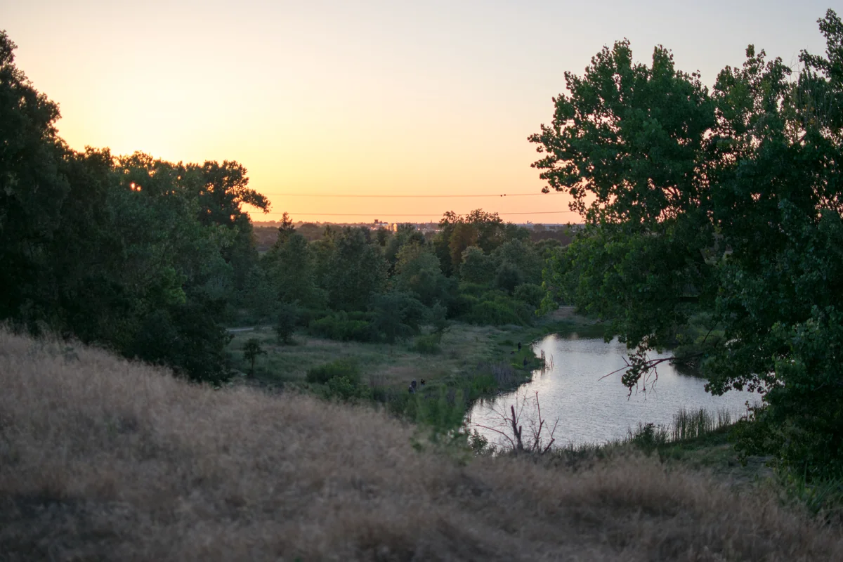 The pond and trees below the bluff at Ceres River Bluff Regional Park in 2016.