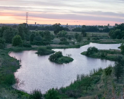 The winding pond below the bluff at Ceres River Bluff Regional Park at sunset.
