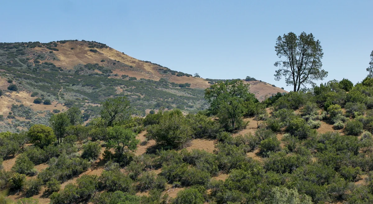 Chaparral and rolling hills in Del Puerto Canyon, California, photographed in May 2003