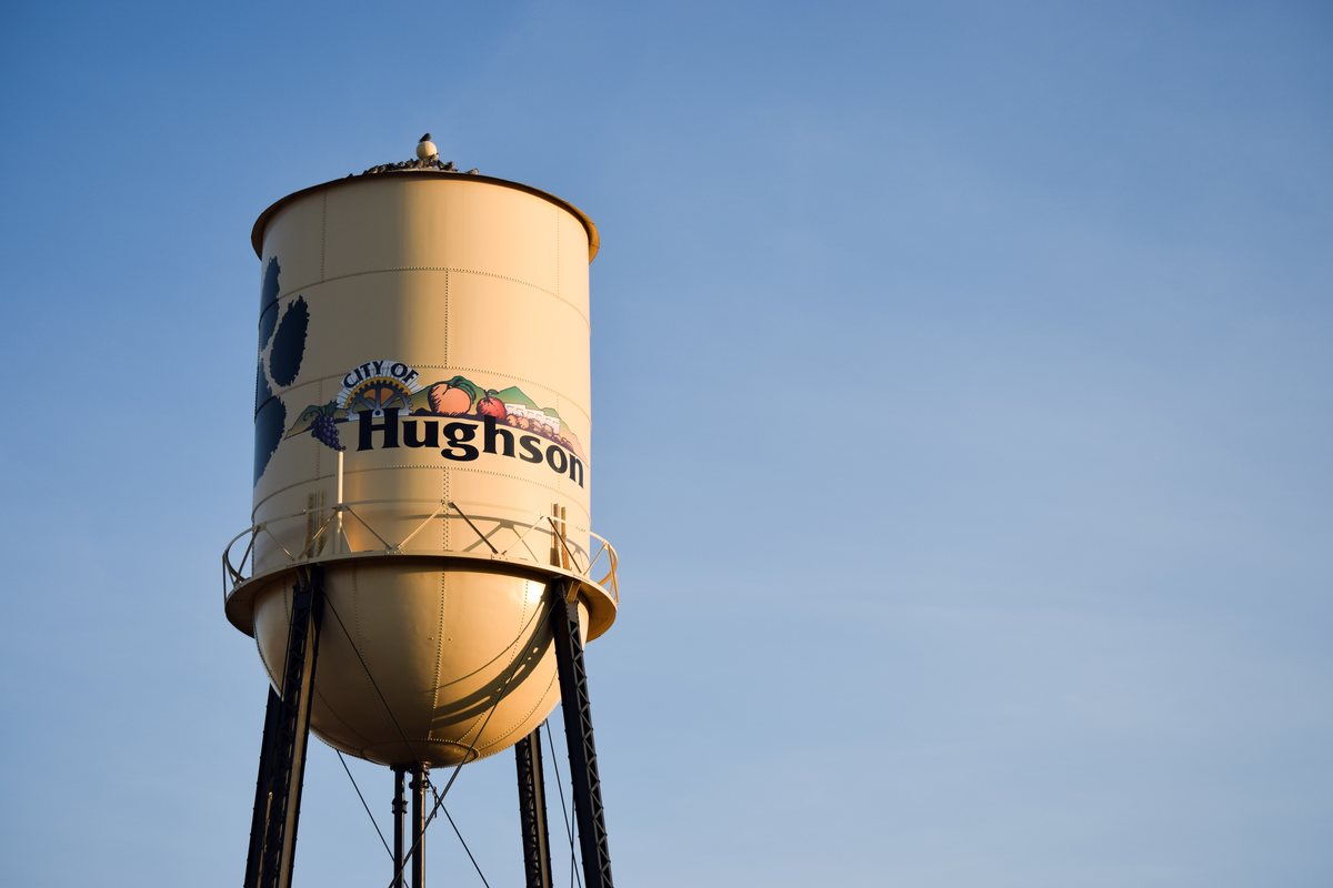 Hughson’s water tower with painted fruit, photographed in 2016