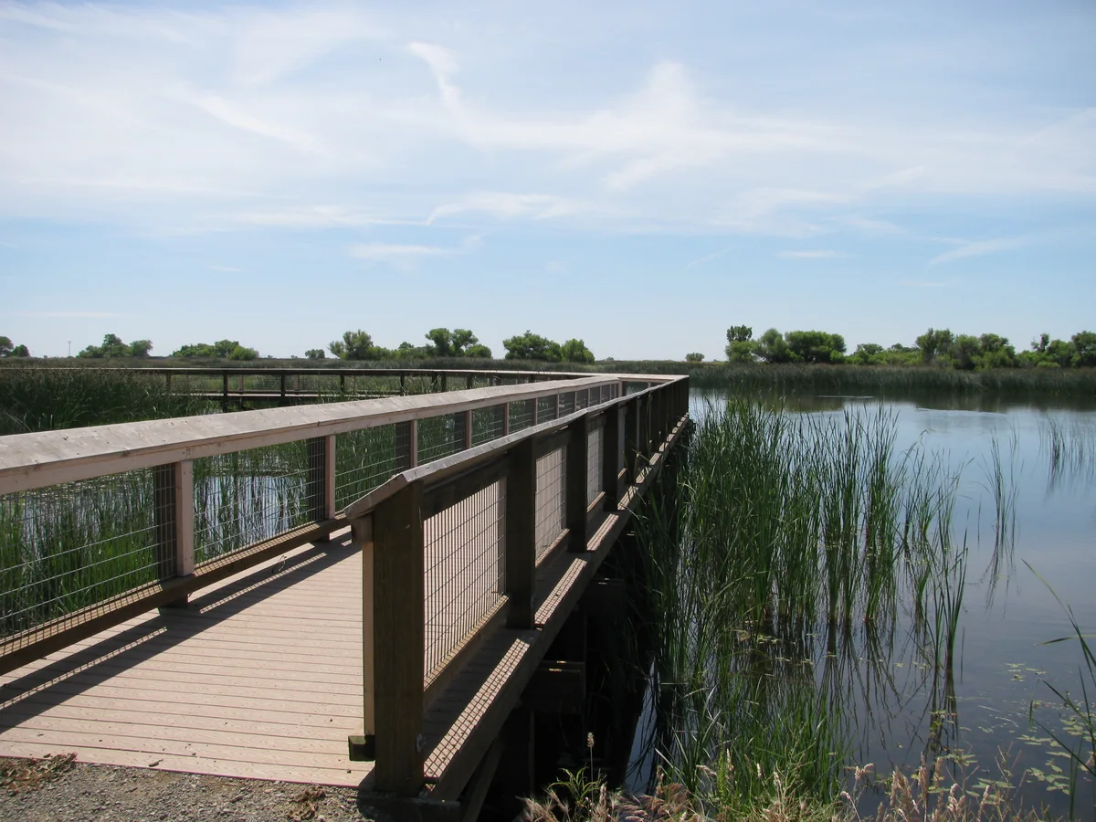 A wooden boardwalk crosses a marsh on the Wetland Trail at San Luis National Wildlife Refuge.