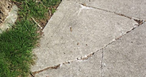Tree roots have lifted and cracked a concrete sidewalk in Columbus, Ohio.