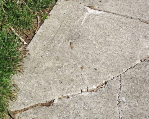Tree roots have lifted and cracked a concrete sidewalk in Columbus, Ohio.