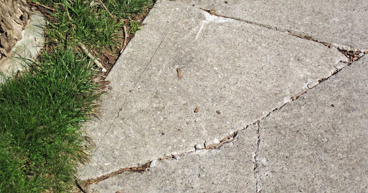 Tree roots have lifted and cracked a concrete sidewalk in Columbus, Ohio.