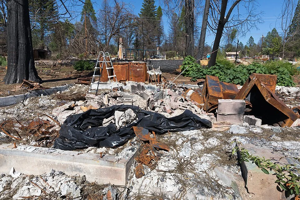 Remains of a burned house and damaged trees in Paradise, California, photographed July 11, 2019, after the Camp Fire.